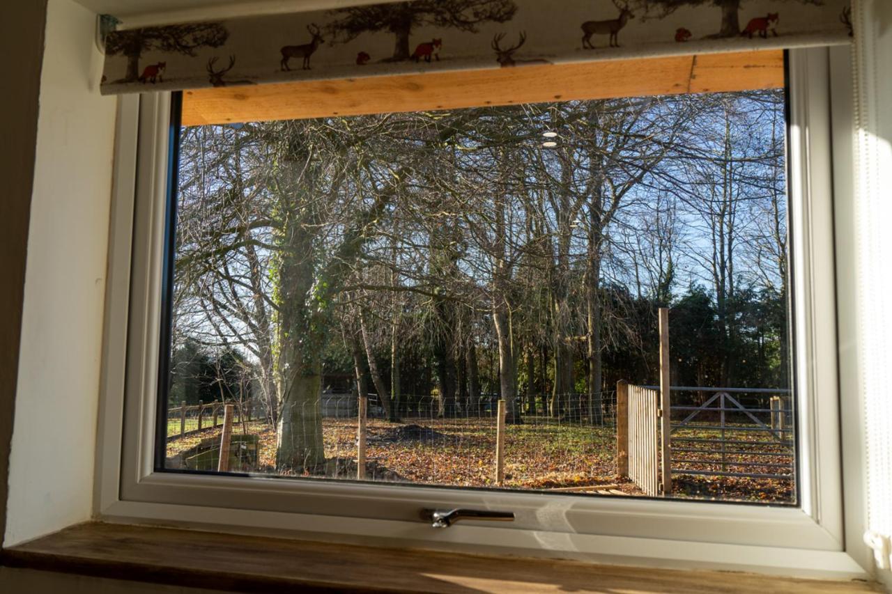 Rose Hideaway - Forest Of Dean Cosy Cabin Retreat Yorkley Εξωτερικό φωτογραφία